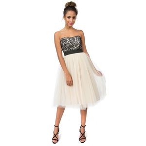 NWT Teeze Me Strapless Floral Lace Midi